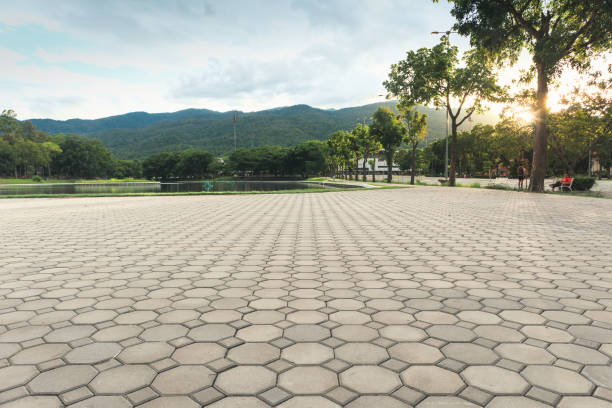 Best Custom Driveway Pavers  in Three Oaks, FL