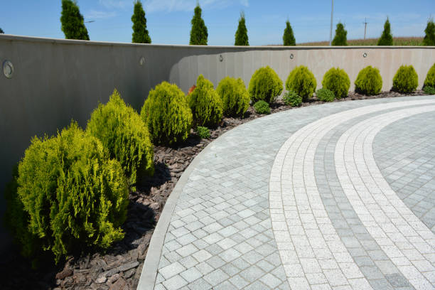 Best Residential Paver Driveway  in Three Oaks, FL